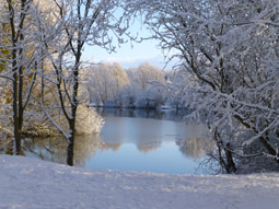 Photo8